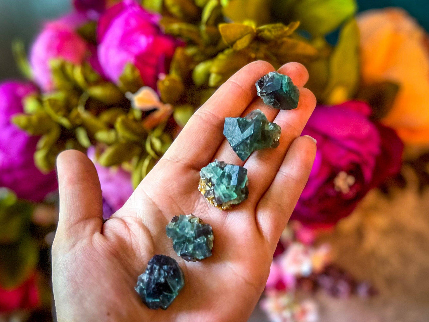 Naughty Gnome Pocket Fluorite Clusters, Daylight Fluorescent
