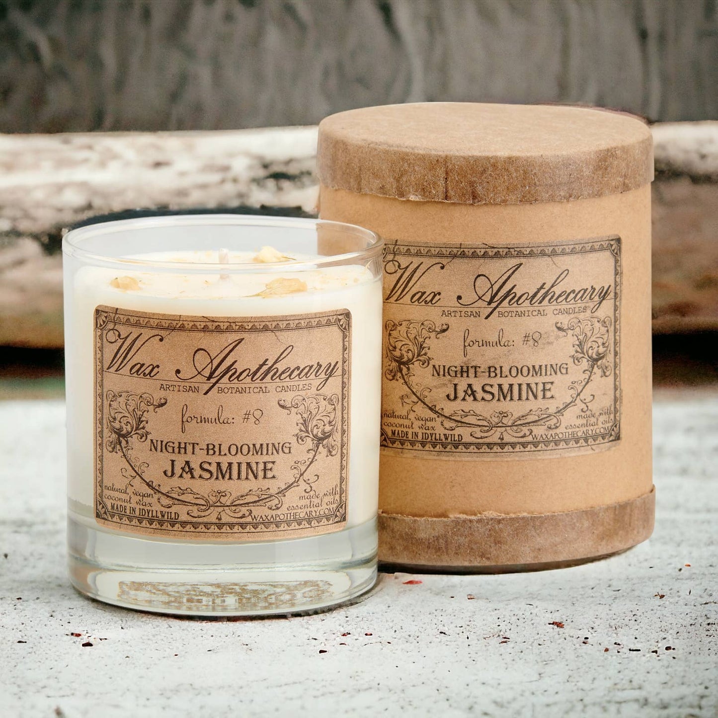 Night-Blooming Jasmine Botanical Candle in Scotch Glass 7oz