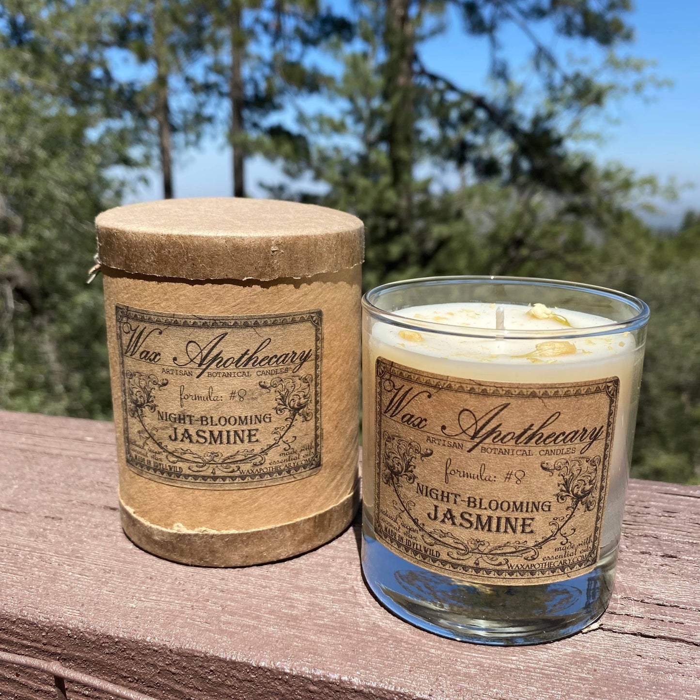 Night-Blooming Jasmine Botanical Candle in Scotch Glass 7oz