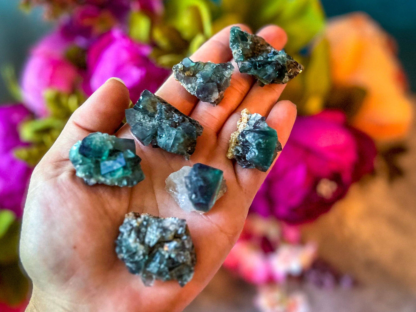 Naughty Gnome Pocket Fluorite Clusters, Daylight Fluorescent