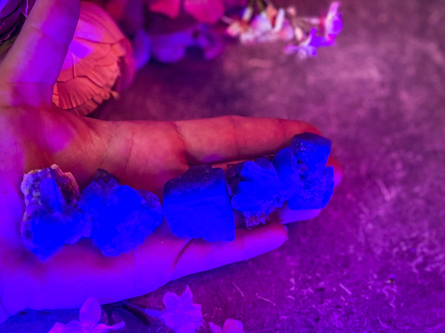 Naughty Gnome Pocket Fluorite Clusters, Daylight Fluorescent