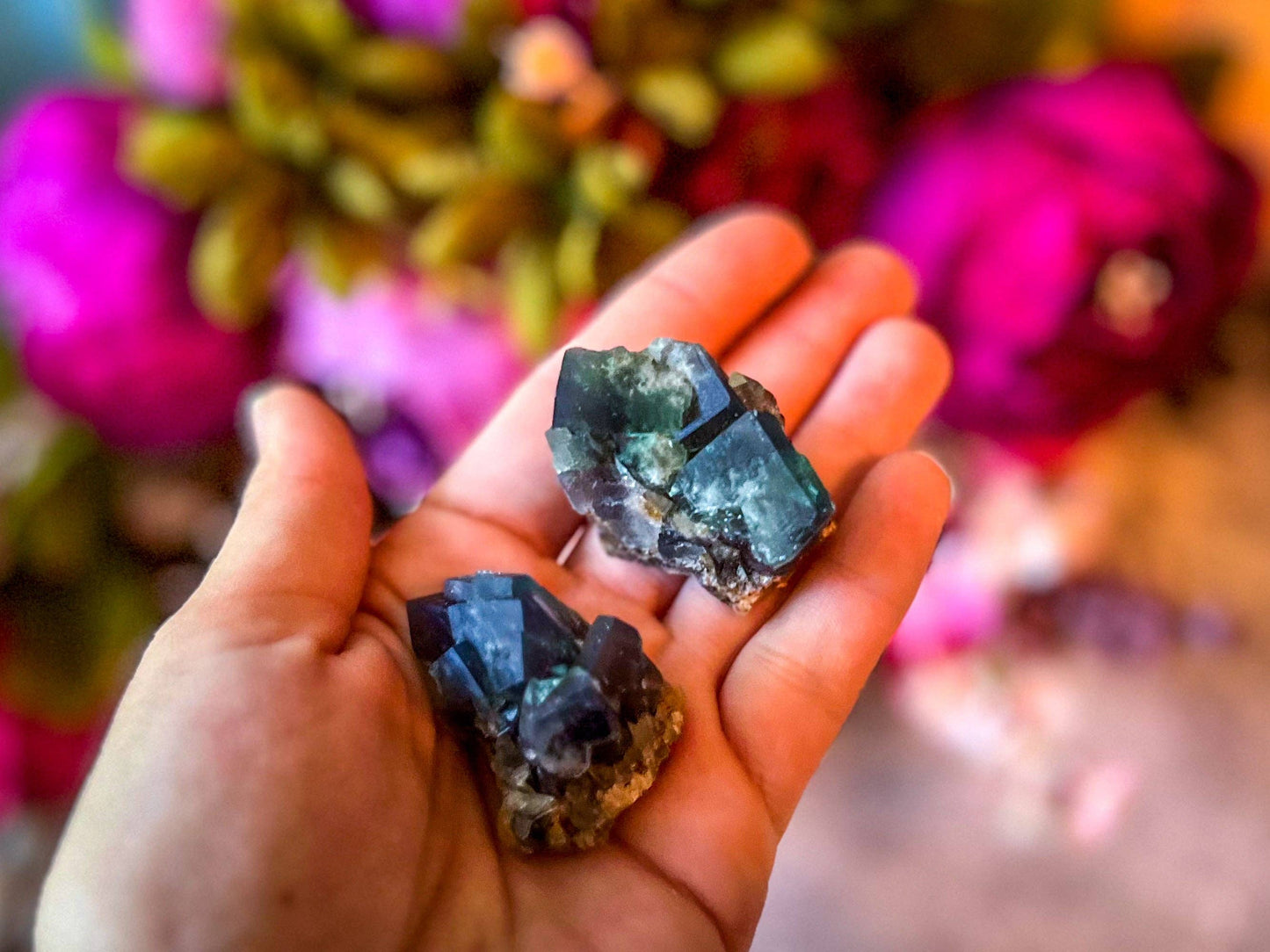 Naughty Gnome Pocket Fluorite Clusters, Daylight Fluorescent