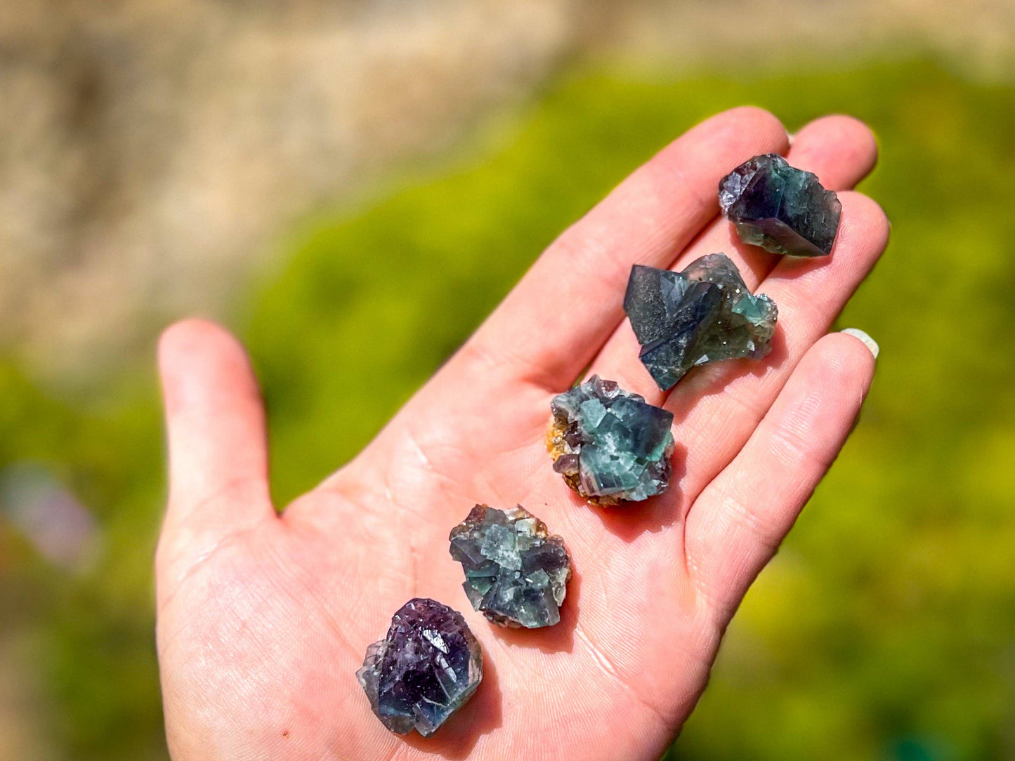 Naughty Gnome Pocket Fluorite Clusters, Daylight Fluorescent