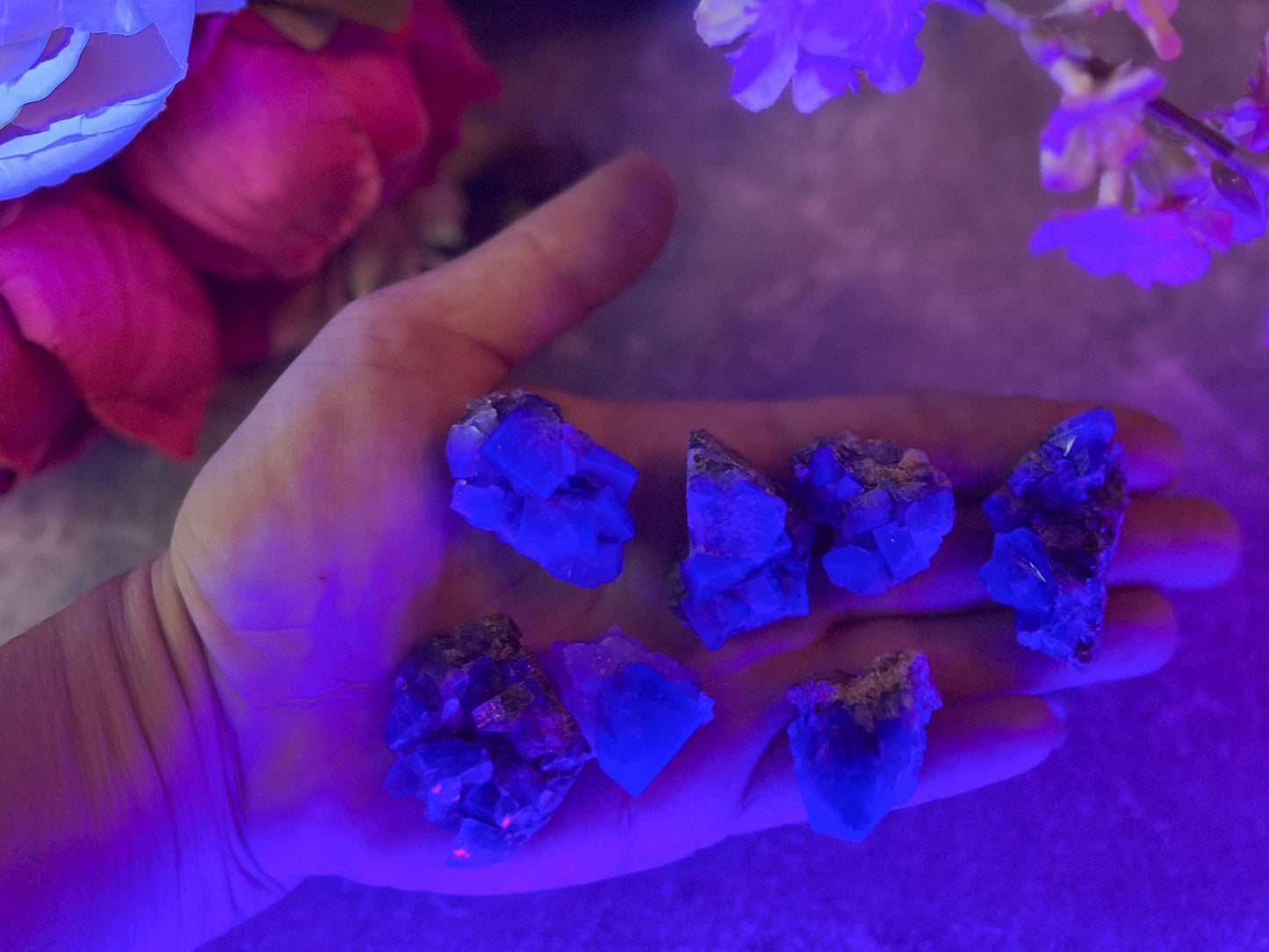 Naughty Gnome Pocket Fluorite Clusters, Daylight Fluorescent