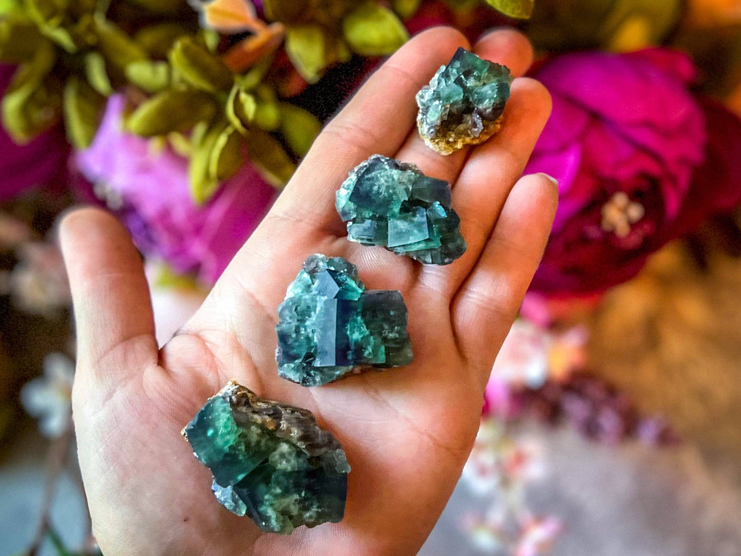 Naughty Gnome Pocket Fluorite Clusters, Daylight Fluorescent