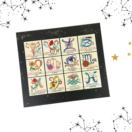 Zodiac Flower Seed Ball Flower Planting Set