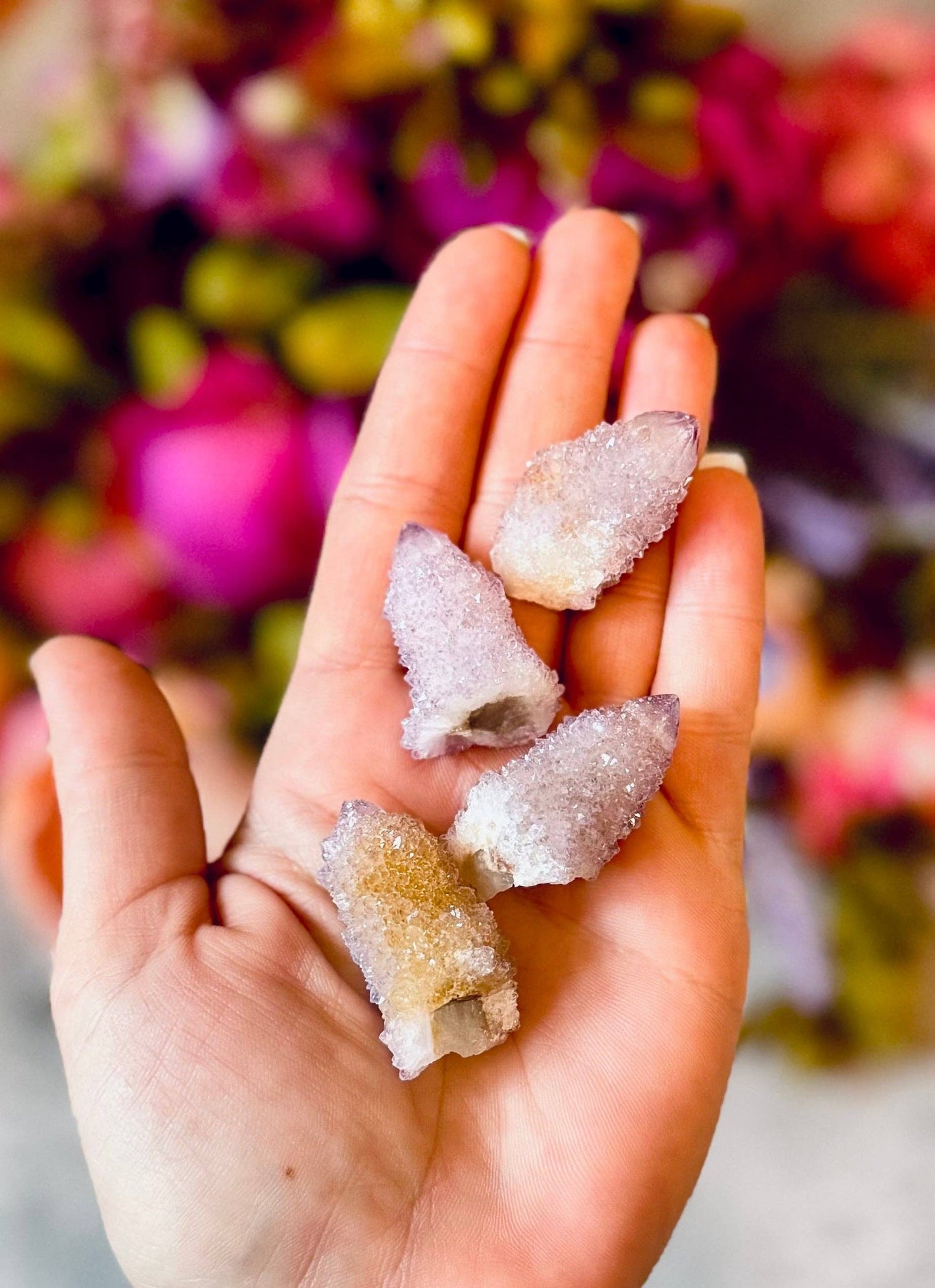 Spirit Amethyst Quartz, Cactus Quartz, Wholesale Crystals