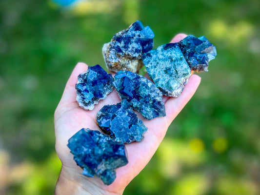 Naughty Gnome Pocket Fluorite Clusters, Daylight Fluorescent